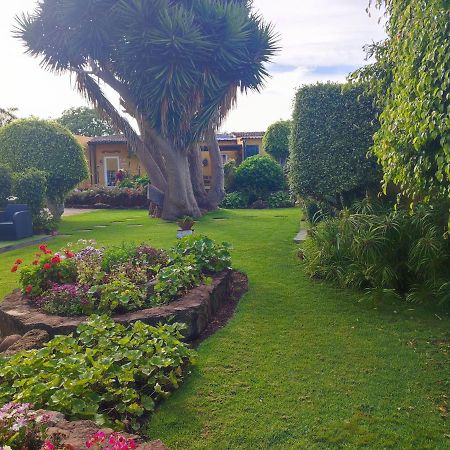 La Chimenea Verde Tacoronte Εξωτερικό φωτογραφία