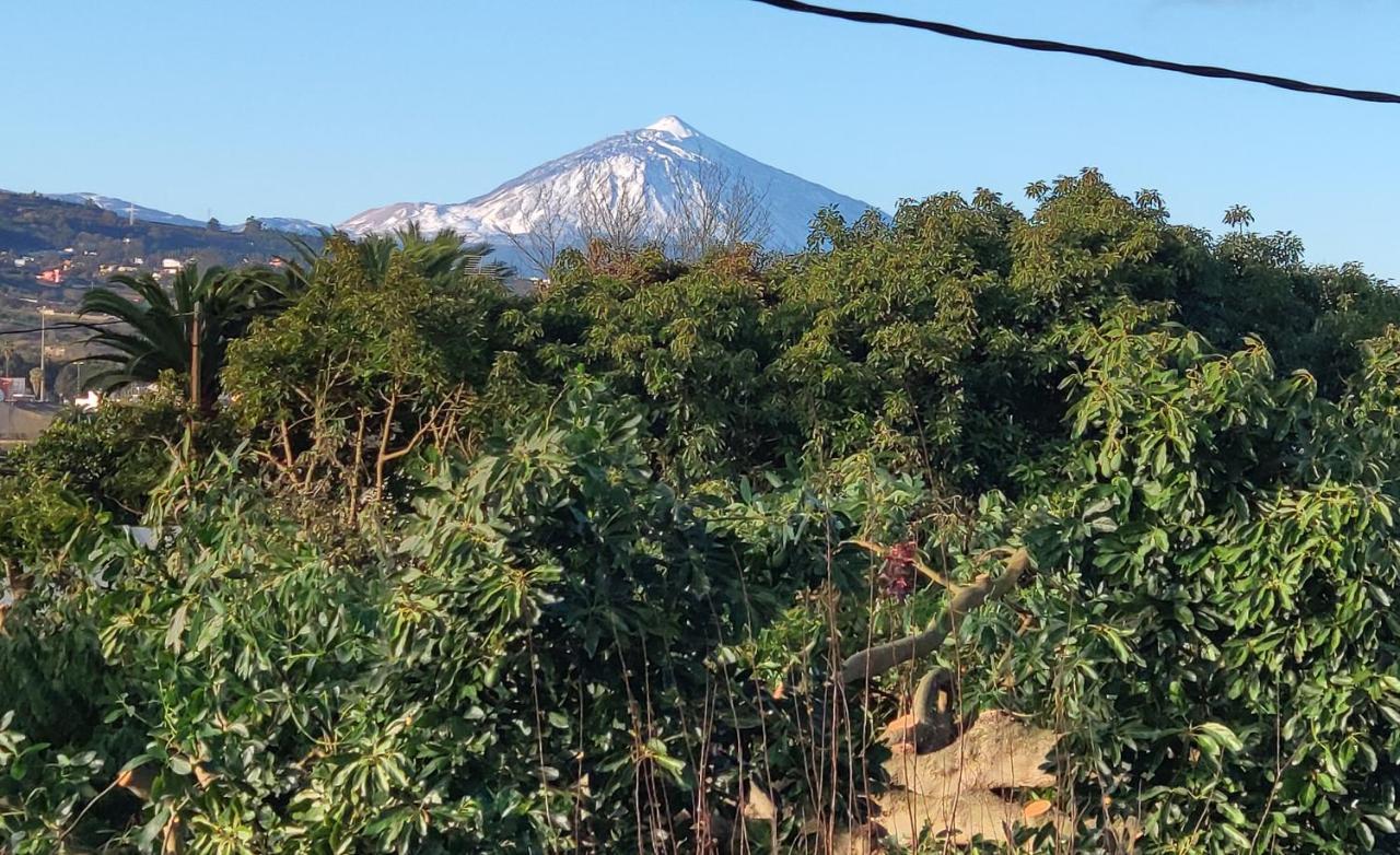 La Chimenea Verde Tacoronte Εξωτερικό φωτογραφία