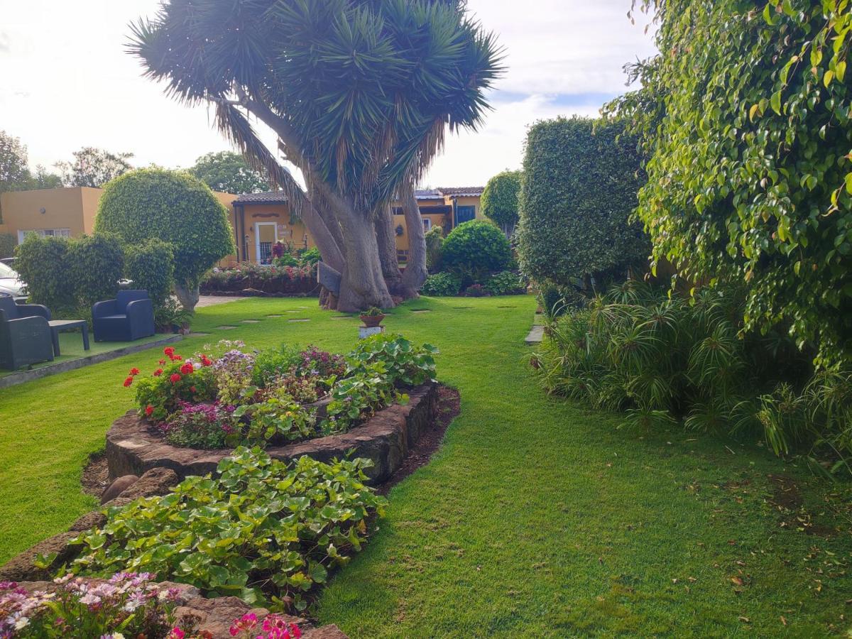 La Chimenea Verde Tacoronte Εξωτερικό φωτογραφία
