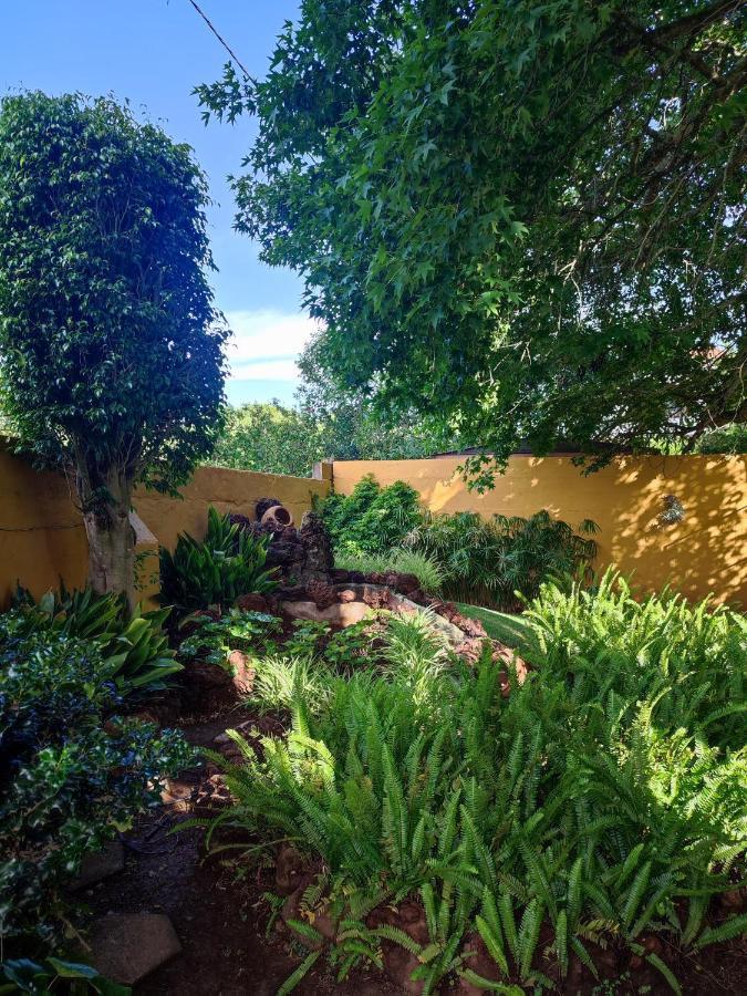 La Chimenea Verde Tacoronte Εξωτερικό φωτογραφία